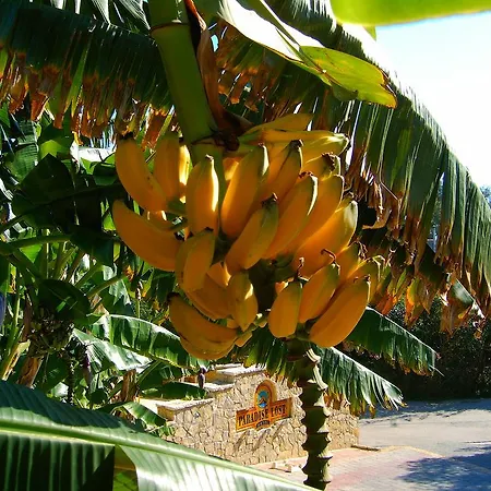 失乐园公寓式酒店 3* 托隆